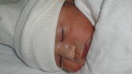 mimino bílá baby-1531063 1280